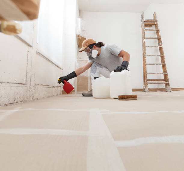 Best Mold Documentation for Insurance Claims  in Branson, MO